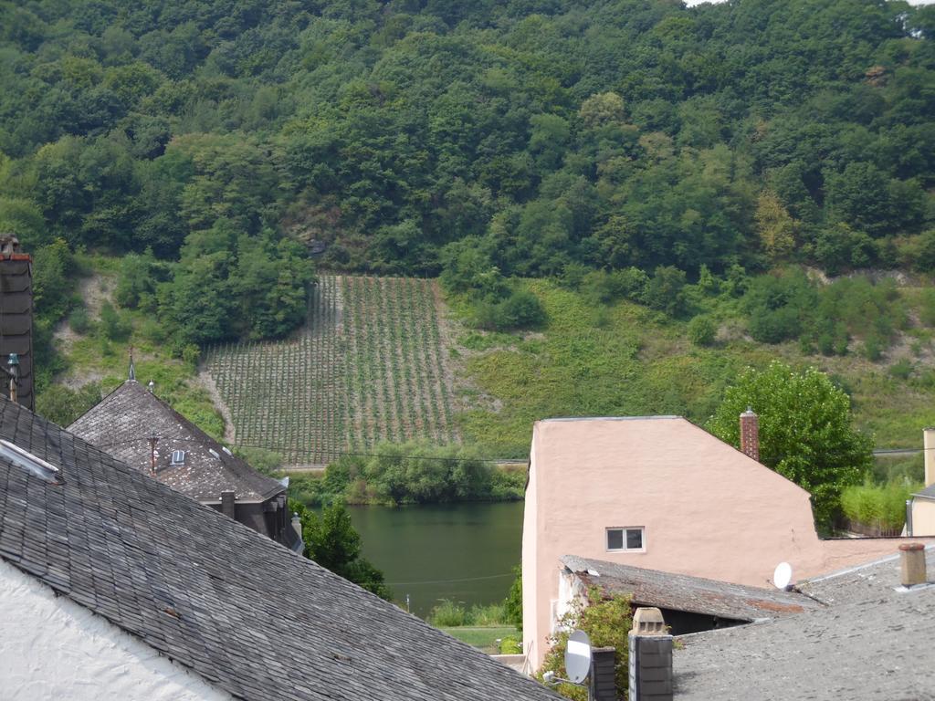 Ferienwohnung In Vino Veritas 诺伊马根-德赫龙 外观 照片